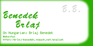 benedek brlaj business card